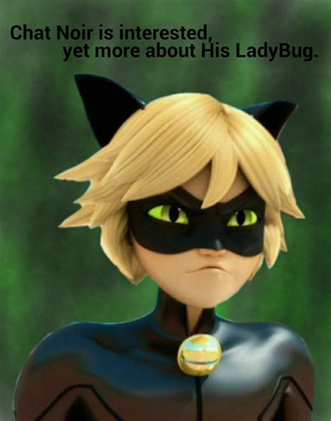 I made a video from your comments of chat noir once said. This was heavenly requested hope you like!💕Instagram~ https://www.Instagram.com/utterly_chloe/Unde...